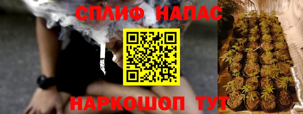 Бошки Шишки OG Kush Торжок